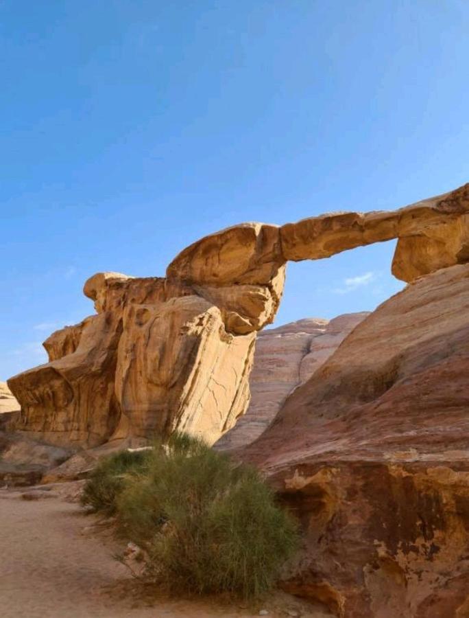 Moon Night Camp Hotell Wadi Rum Eksteriør bilde